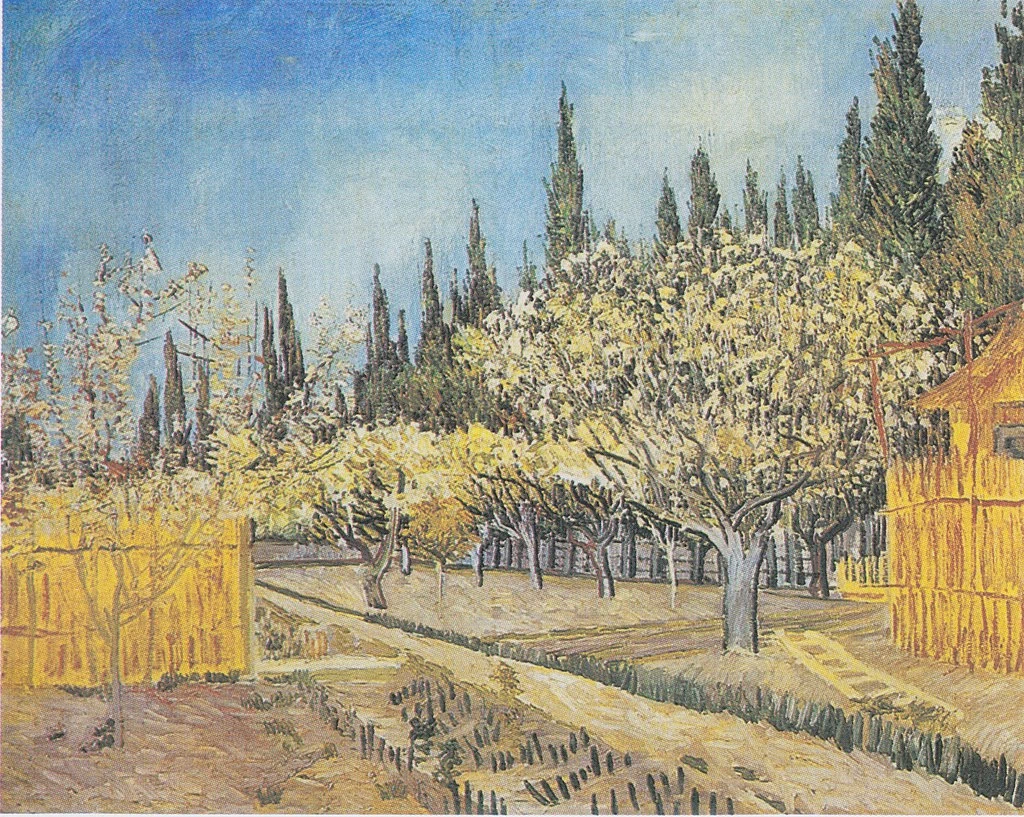  76-Vincent van Gogh-Frutteto in fiore, delimitato da cipressi, 1888 - Kröller-Müller Museum, Otterlo 
